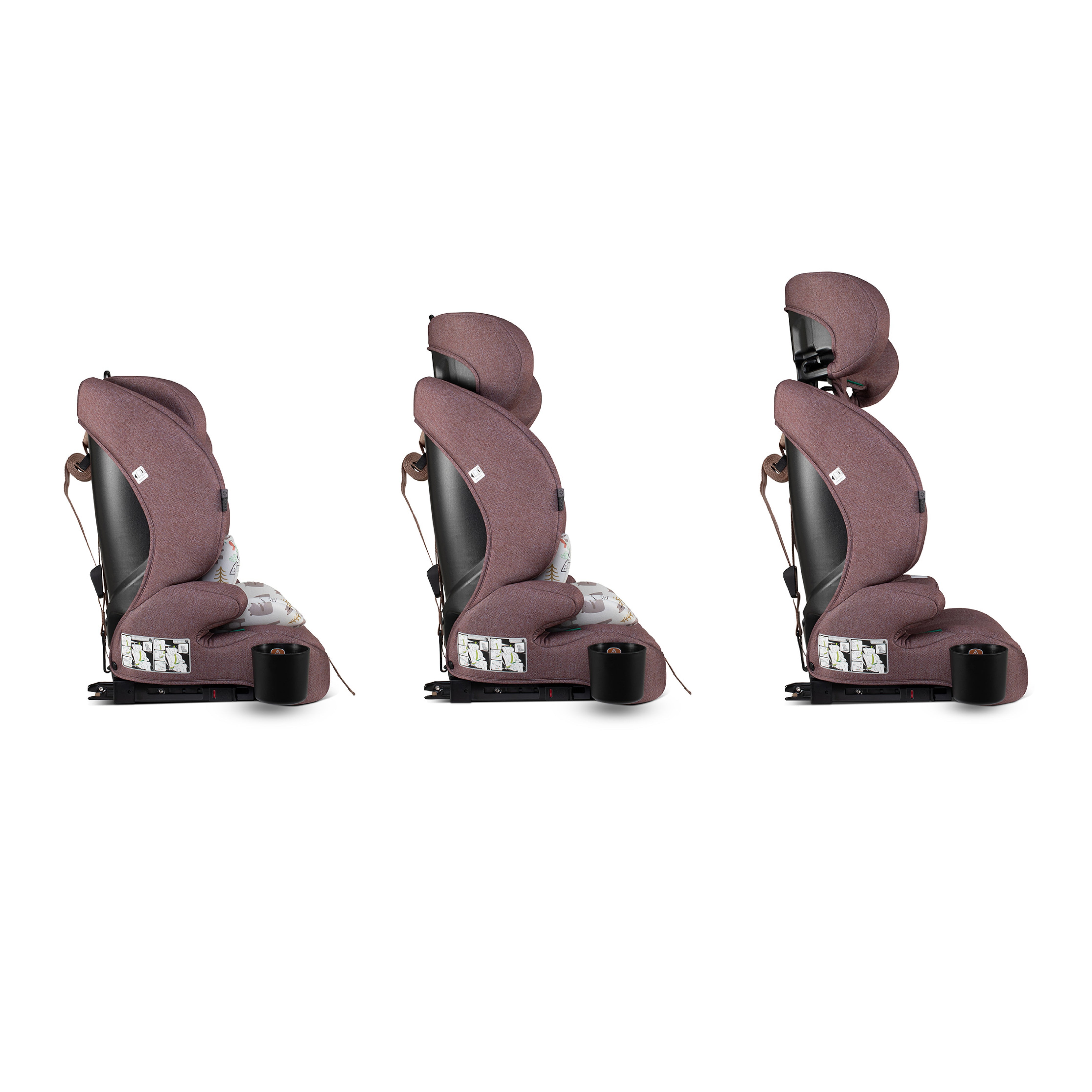 Zoomi 3 i-Size Kindersitz - Bear Hug