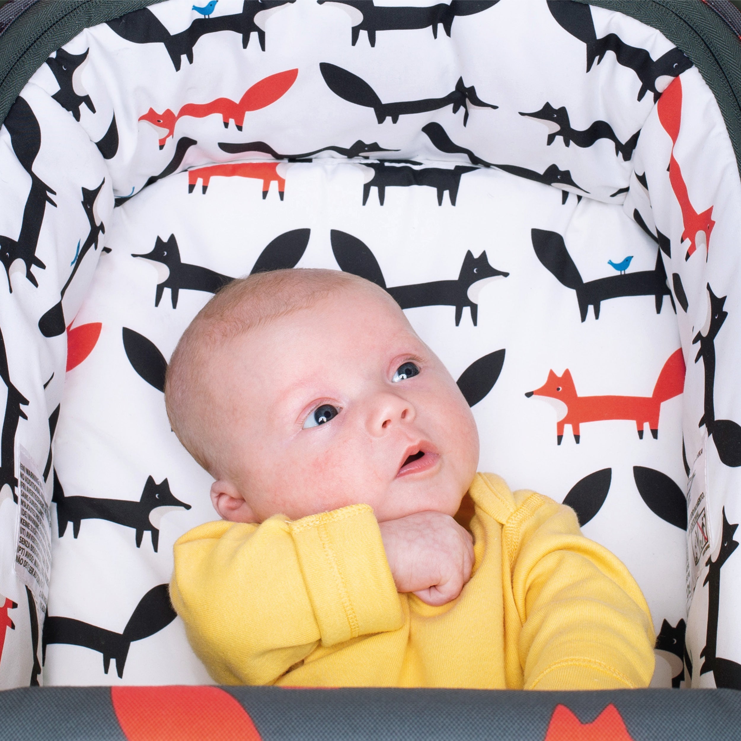 Wow 2 mit Kindersitz Set - Charcoal Mister Fox